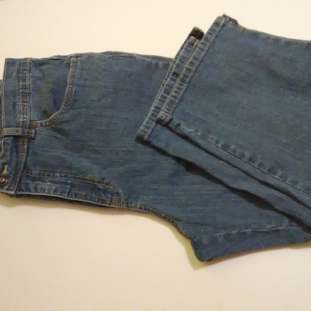 Gloria Vanderbilt Size 10 Nickers High Waisted